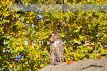 購買野生動物放生構(gòu)成犯罪嗎