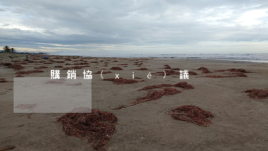 購銷協(xié)議