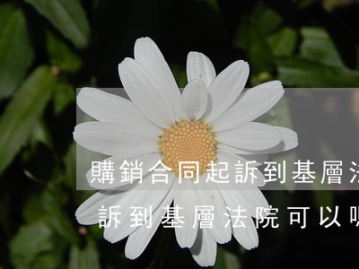 購銷合同起訴到基層法院可以嗎(購銷合同起訴到基層法院可以嗎)