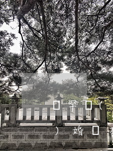賽罕區(qū)領(lǐng)結(jié)婚證在哪里(拉薩結(jié)婚領(lǐng)證在哪里)