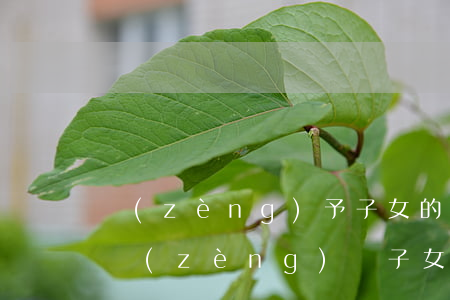 贈(zèng)予子女的錢法院可以判走嗎(贈(zèng)與子女的房產(chǎn)子女有權(quán)賣嗎)