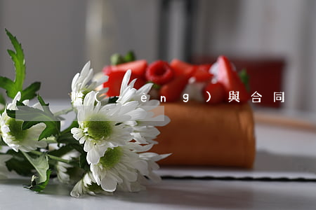 贈(zèng)與合同