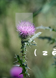贈(zèng)與合同糾紛是指什么