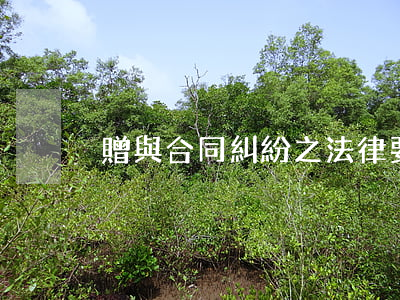 贈與合同糾紛之法律要點之分析