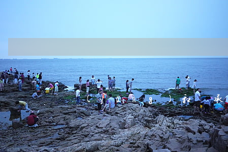 贍養(yǎng)和繼承問(wèn)題
