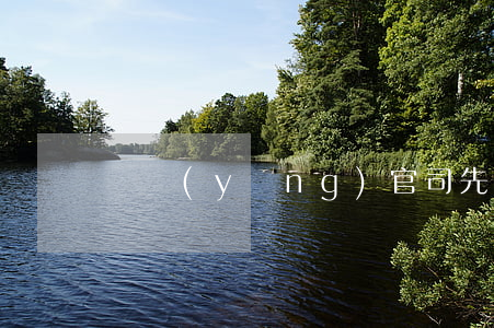贍養(yǎng)官司先調(diào)解嗎