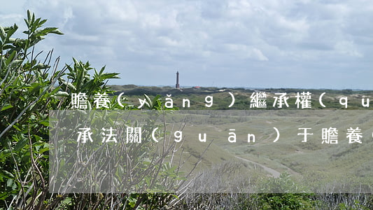 贍養(yǎng)繼承權(quán)嗎(繼承法關(guān)于贍養(yǎng)的規(guī)定)