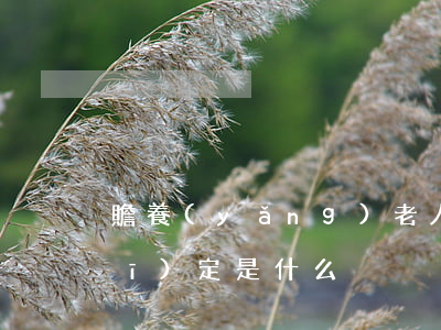 贍養(yǎng)老人有什么法律規(guī)定是什么