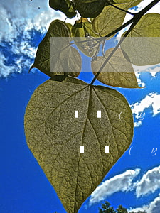 贍養(yǎng)老人法院判了可以上訴嗎(贍養(yǎng)老人不履行法院判決后果)