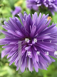 贍養(yǎng)老人的法律規(guī)定(民法典關(guān)于贍養(yǎng)老人的法律規(guī)定)