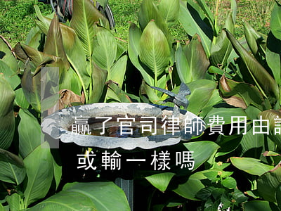 贏了官司律師費用由誰出(律師的官司費用贏或輸一樣嗎) 贏了官司律師費用由誰出(律師的官司費用贏或輸一樣嗎)