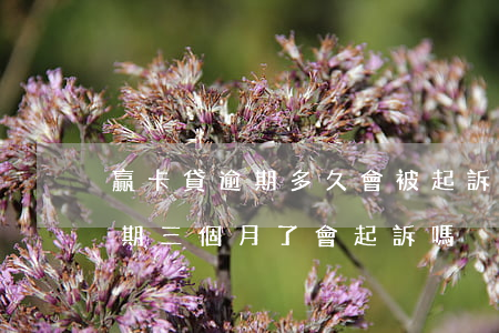 贏卡貸逾期多久會被起訴(欠小贏卡貸兩萬逾期三個月了會起訴嗎)