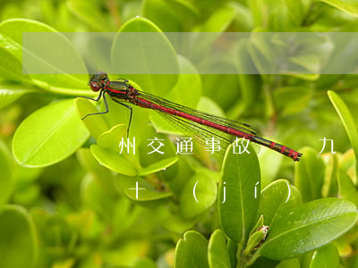 贛州交通事故傷殘九級(jí)賠償(贛州工傷十級(jí)賠償標(biāo)準(zhǔn))