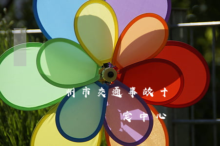 贛州市交通事故十級傷殘鑒定標準(贛州有幾個傷殘鑒定中心)