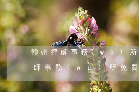 贛州律師事務(wù)所哪家好(江西贛州律師事務(wù)所免費(fèi)咨詢)