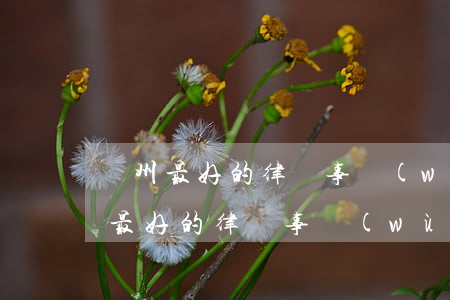 贛州最好的律師事務(wù)所是哪個(贛州最好的律師事務(wù)所是哪個)