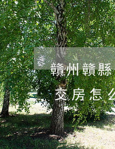 贛州贛縣人才園逾期交房-贛縣人才園違約交房怎么處理