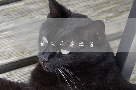 贛榆二手房出售
