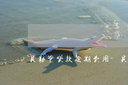 贝勒爷贷款逾期费用-贝勒爷贷款逾期费用