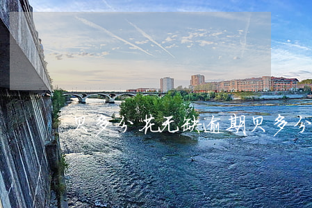贝多分花无缺逾期(贝多分分期购物平台)