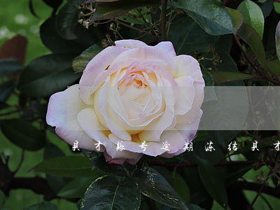 贝才账号逾期冻结(贝才账号逾期冻结)