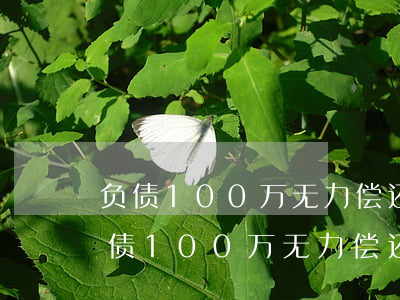 负债100万无力偿还后面的路怎么办-负债100万无力偿还该坐牢多久
