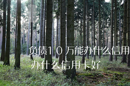 负债10万能办什么信用卡-负债10万能办什么信用卡好