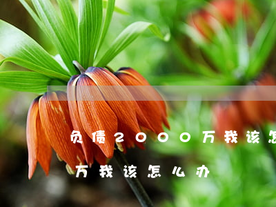 负债2000万我该怎么办-负债2000万我该怎么办