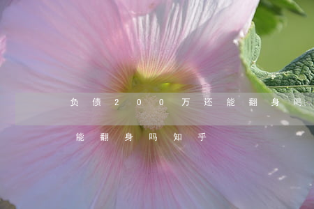 负债200万还能翻身吗-负债200万还能翻身吗知乎