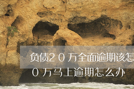 负债20万全面逾期该怎么办理呢-负债20万马上逾期怎么办