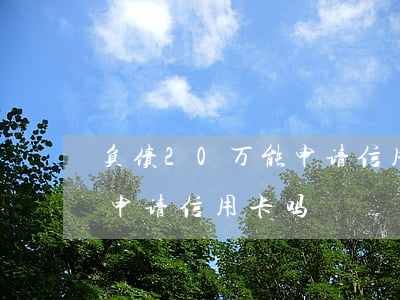 负债20万 能申请信用卡吗-负债20万能申请信用卡吗