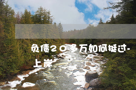 负债20多万如何挺过-负债20几万如何上岸