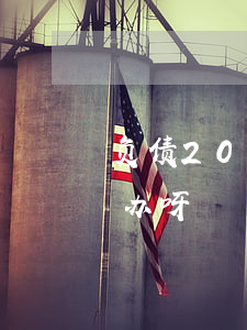 负债20多万怎么办呀-负债20多万怎么办呀