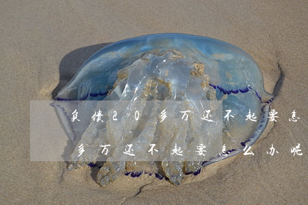 负债20多万还不起要怎么办呢-负债20多万还不起要怎么办呢