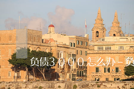 负债3000怎么办-负债3千