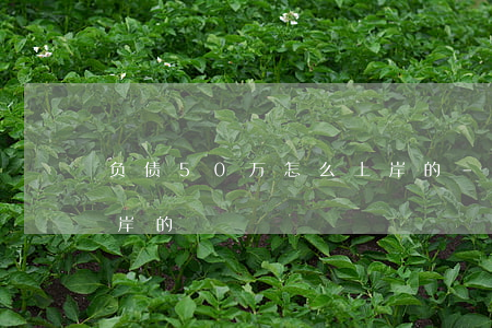 负债50万怎么上岸的-负债50万怎么上岸的