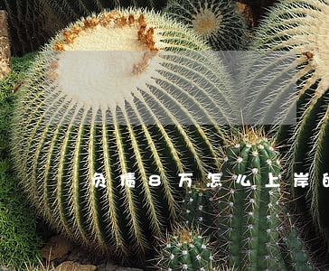 负债8万怎么上岸的-负债8万怎么上岸的