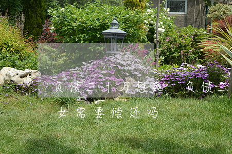 负债三十万想死-负债三十万想死了,父母子女需要偿还吗