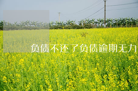 负债不还了（负债逾期无力偿还了）