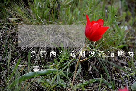 负债两年逾期没还(逾期两年没有还了!也没事)
