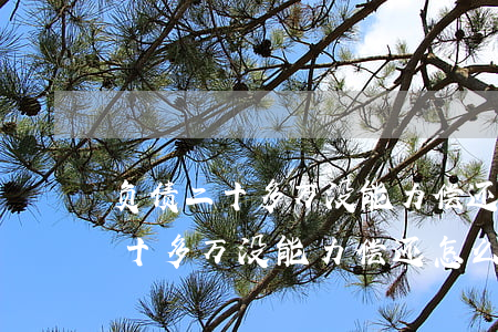 负债二十多万没能力偿还怎么办啊-负债二十多万没能力偿还怎么办啊视频