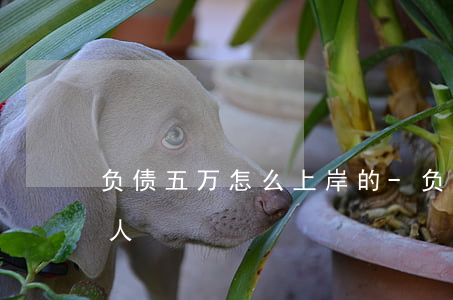 负债五万怎么上岸的-负债五万怎么上岸的人