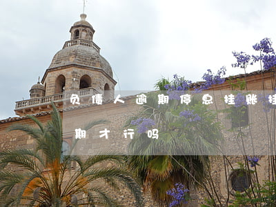 负债人逾期停息挂账(挂帐停息需要处理完逾期才行吗)