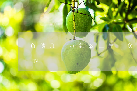 负债几十万怎么上岸-负债几十万怎么上岸的