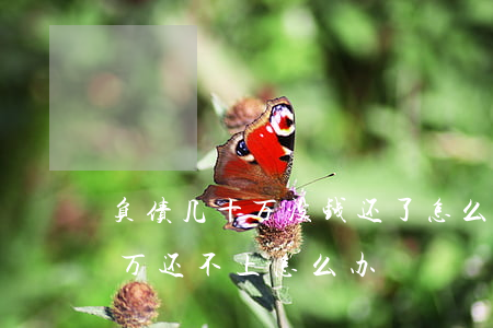 负债几十万没钱还了怎么办知乎-负债几十万还不上怎么办