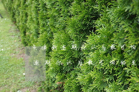 负债到逾期你认为最可怕的是什么-负债到逾期你认为最可怕的是什么呢