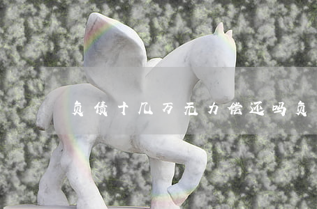 负债十几万无力偿还吗(负债十多万)
