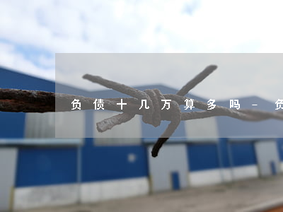 负债十几万算多吗-负债十几万算多吗知乎