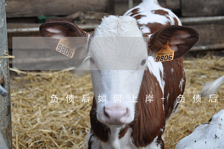 负债后如何上岸-负债后如何上岸上班