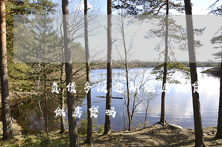 负债多没逾期能房抵贷么(有负债无逾期可以做房贷吗)